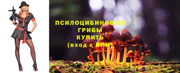 ПСИЛОЦИБИНОВЫЕ ГРИБЫ Богородск