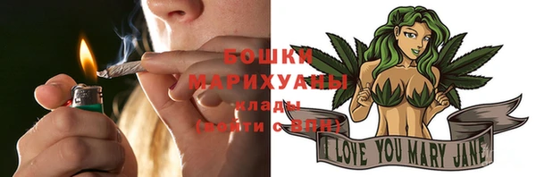 дживик Богородицк