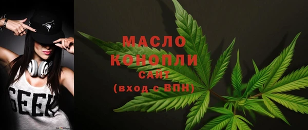 дживик Богородицк