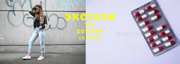 дживик Богородицк