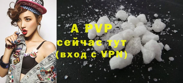 ПСИЛОЦИБИНОВЫЕ ГРИБЫ Богородск